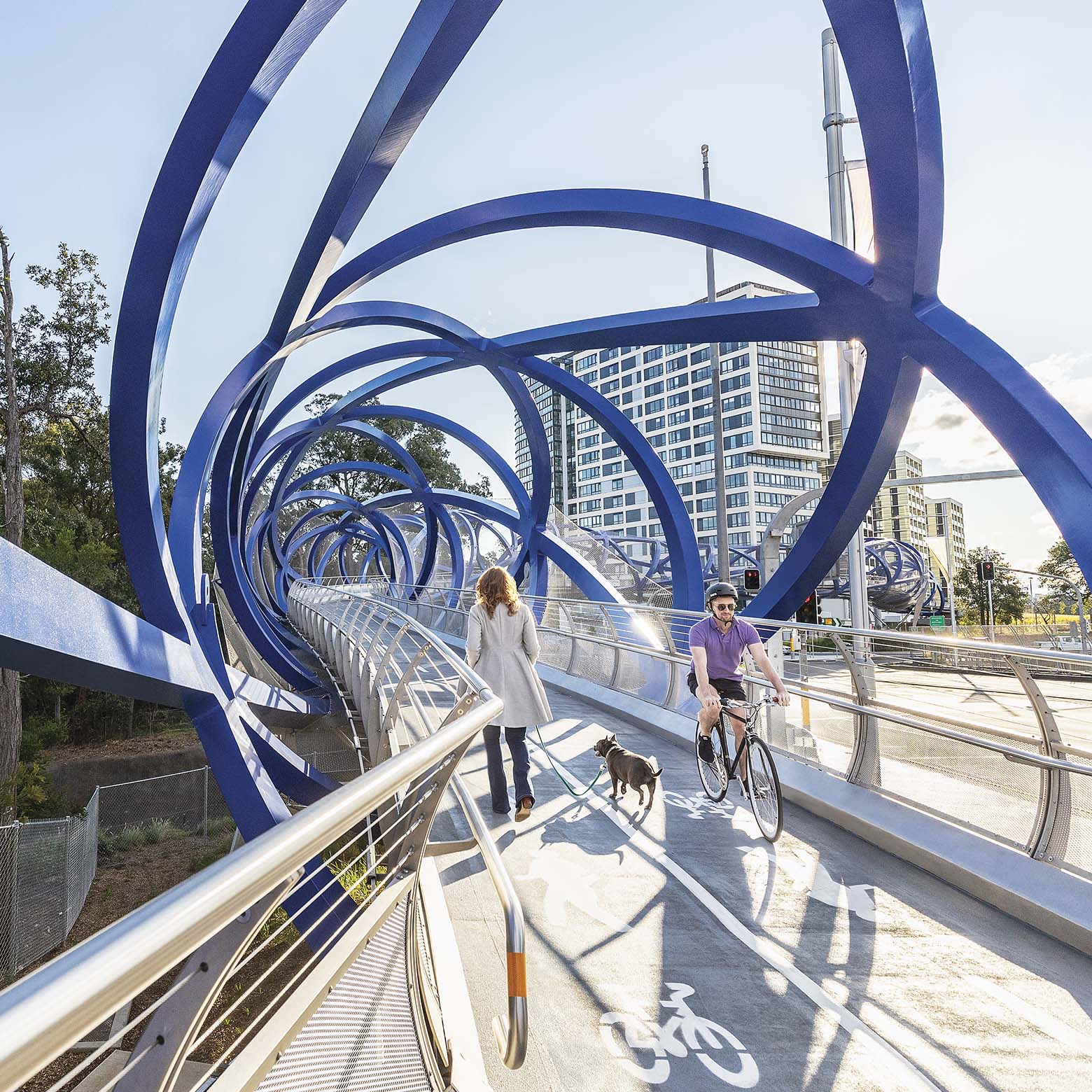 Featured image of Christopher Cassaniti Bridge