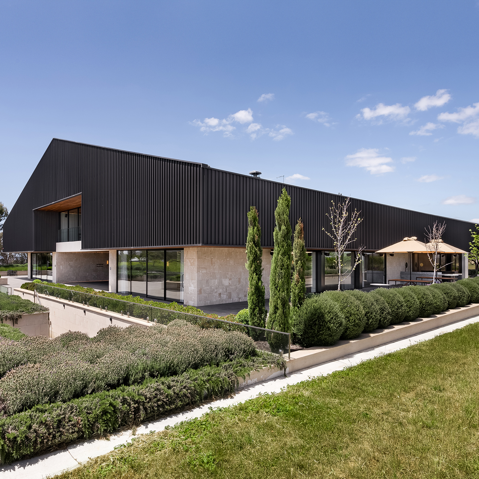 Featured image of the article — Five Vineyard